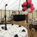 Lavant House Stables Charity Ball