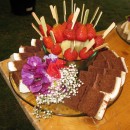 Dynes Wedding June 2011