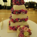 Dynes Wedding June 2011