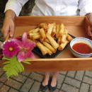 Chinese Spring Rolls